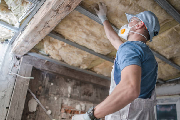 Best Types of Insulation in Linthicum, MD